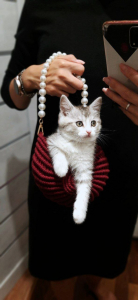 Фото из отзыва к Видео-урок Сумка Ракушка