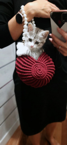 Фото из отзыва к Видео-урок Сумка Ракушка