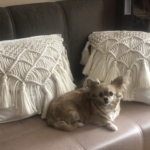 Фото из отзыва к Видео-урок Наволочка с кистями 50х50 см