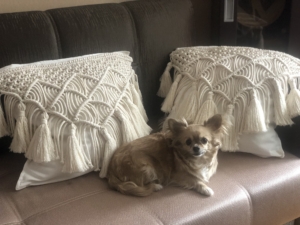 Фото из отзыва к Видео-урок Наволочка с кистями 50х50 см