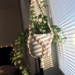 Фото из отзыва к Шнур плетёный 4 мм неокрашенный с сердечником, жёсткость повышенная