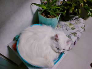 Фото из отзыва к Шнур плетёный 5 мм неокрашенный с сердечником, жёсткость повышенная “+”