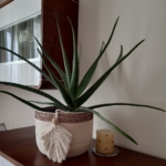 Фото из отзыва к Шнур плетёный 5 мм неокрашенный с сердечником, жёсткость повышенная “+”