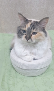 Фото из отзыва к Шнур вязаный 5 мм лён с сердечником