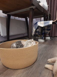 Фото из отзыва к Шнур вязаный жёсткий 8 мм джутовый цвет с сердечником