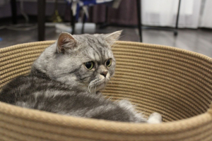 Фото из отзыва к Шнур вязаный жёсткий 8 мм джутовый цвет с сердечником