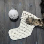 Фото из отзыва к Видео-урок Сапожок новогодний