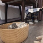 Фото из отзыва к Шнур вязаный жёсткий 8 мм джутовый цвет с сердечником Фото из отзыва к Шнур вязаный жёсткий 8 мм джутовый цвет с сердечником